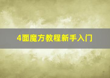 4面魔方教程新手入门