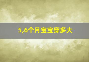 5,6个月宝宝穿多大