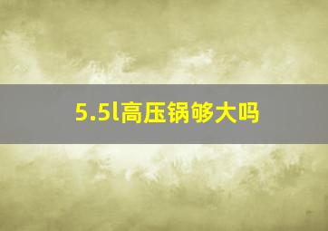 5.5l高压锅够大吗