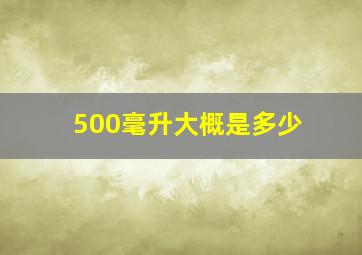 500毫升大概是多少