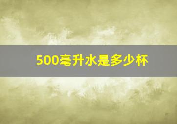 500毫升水是多少杯