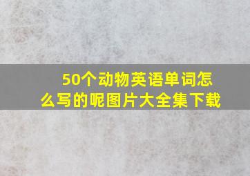 50个动物英语单词怎么写的呢图片大全集下载