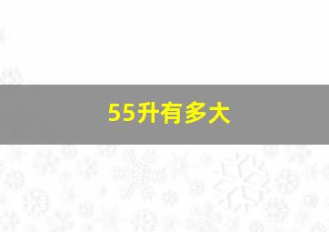 55升有多大