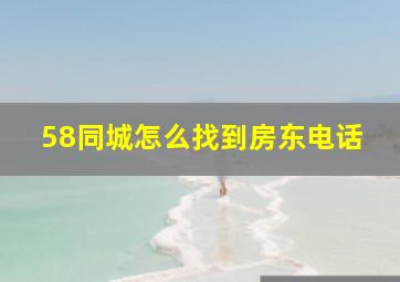 58同城怎么找到房东电话