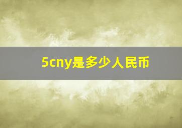 5cny是多少人民币