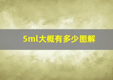 5ml大概有多少图解