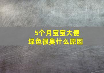 5个月宝宝大便绿色很臭什么原因