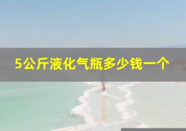 5公斤液化气瓶多少钱一个