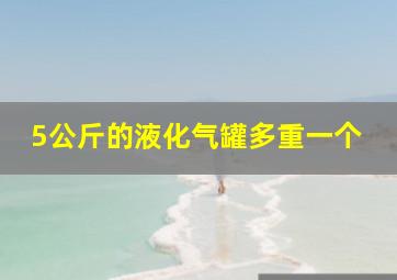 5公斤的液化气罐多重一个