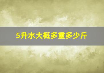 5升水大概多重多少斤