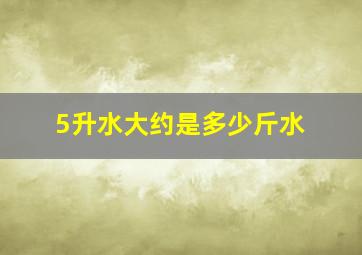 5升水大约是多少斤水