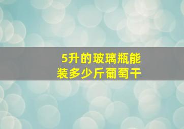 5升的玻璃瓶能装多少斤葡萄干