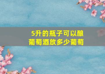 5升的瓶子可以酿葡萄酒放多少葡萄