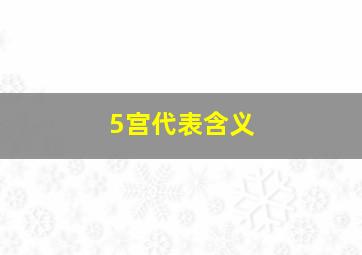 5宫代表含义