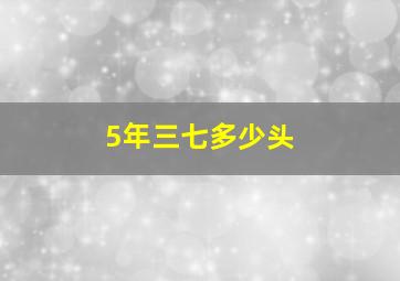 5年三七多少头