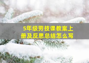 5年级劳技课教案上册及反思总结怎么写