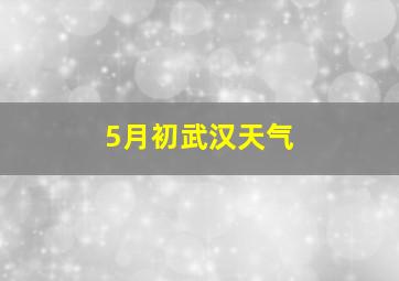 5月初武汉天气