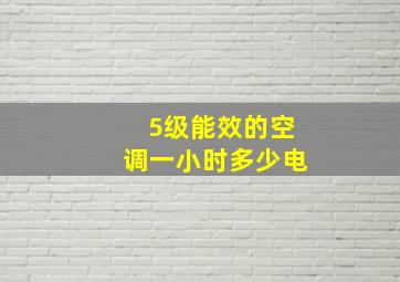 5级能效的空调一小时多少电