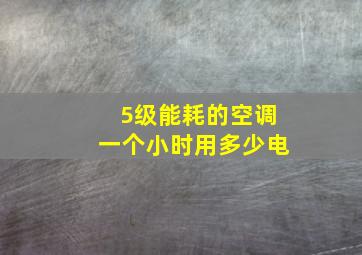 5级能耗的空调一个小时用多少电