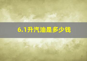 6.1升汽油是多少钱