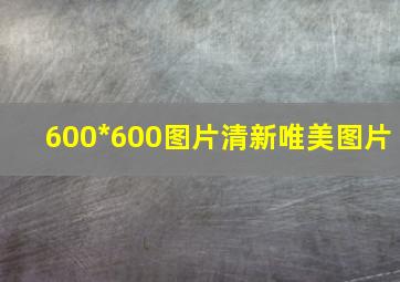 600*600图片清新唯美图片