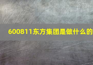 600811东方集团是做什么的