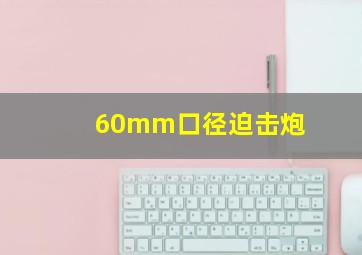 60mm口径迫击炮