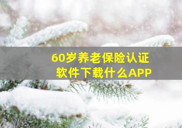 60岁养老保险认证软件下载什么APP