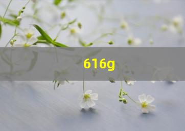 616g