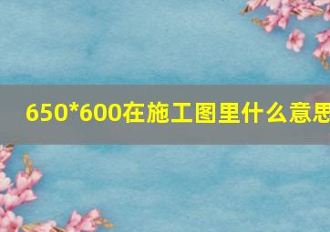 650*600在施工图里什么意思