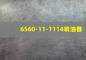 6560-11-1114喷油器