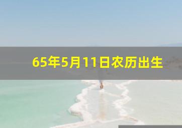 65年5月11日农历出生