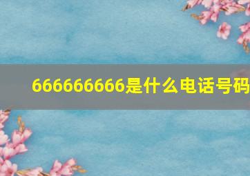 666666666是什么电话号码