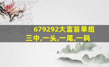 679292大富翁单组三中,一头,一尾,一码