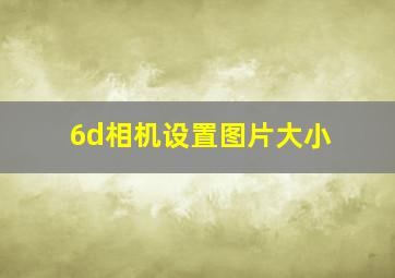 6d相机设置图片大小