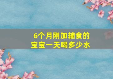 6个月刚加辅食的宝宝一天喝多少水