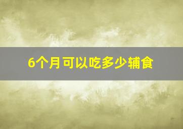 6个月可以吃多少辅食