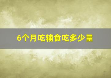 6个月吃辅食吃多少量