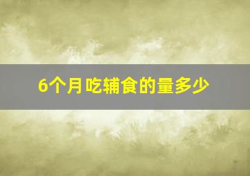 6个月吃辅食的量多少