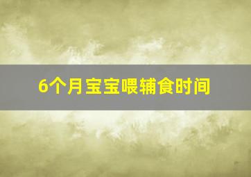 6个月宝宝喂辅食时间