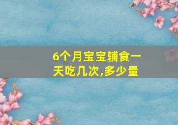 6个月宝宝辅食一天吃几次,多少量