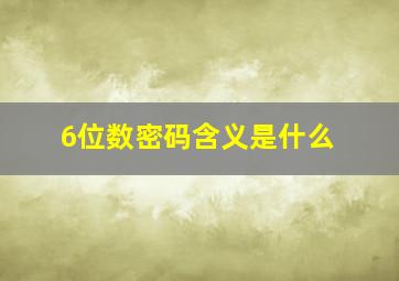 6位数密码含义是什么