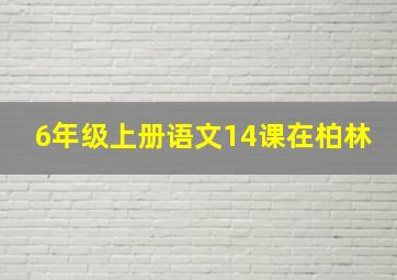 6年级上册语文14课在柏林