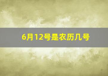 6月12号是农历几号