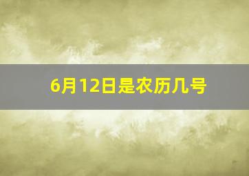 6月12日是农历几号