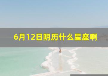 6月12日阴历什么星座啊