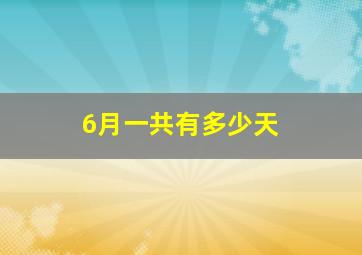 6月一共有多少天