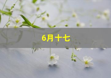 6月十七