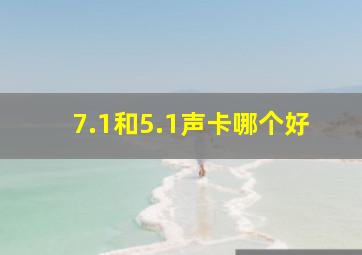 7.1和5.1声卡哪个好