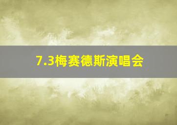 7.3梅赛德斯演唱会